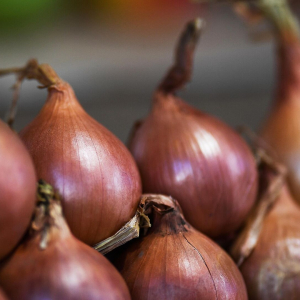 Гениальный трюк с луком: почему опытные хозяйки натирают им все столовые приборы